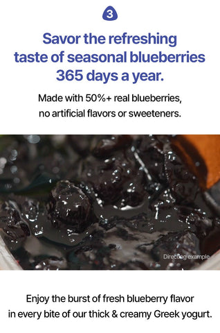 【韓國空運直送・限量預購】(12g 蛋白質) YOZM 極濃厚希臘乳酪系列 (經典藍莓味) - RankingDak hong kong